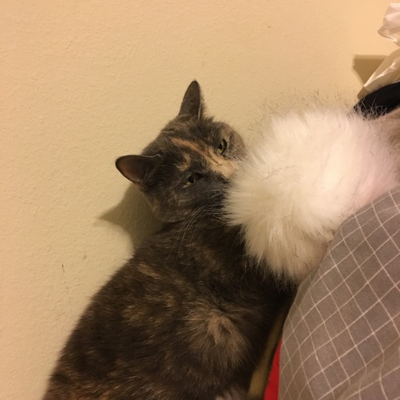 Meet your Posher, Chel - Picture 2 of 7